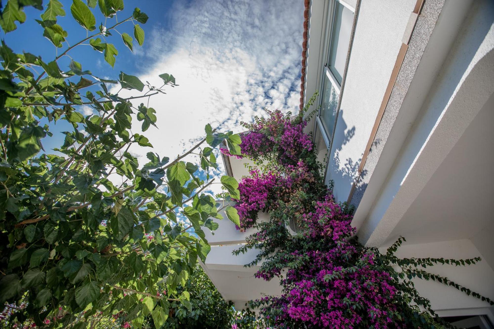 Apartman Rosa Supetarska Draga Luaran gambar